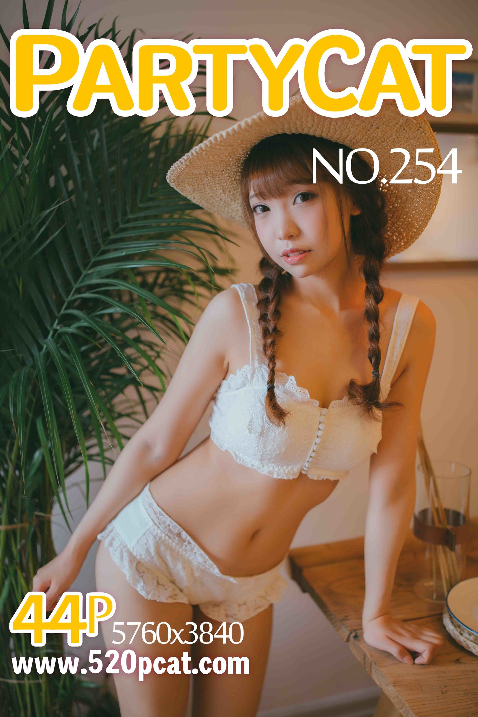 Vol. 254 NO.254