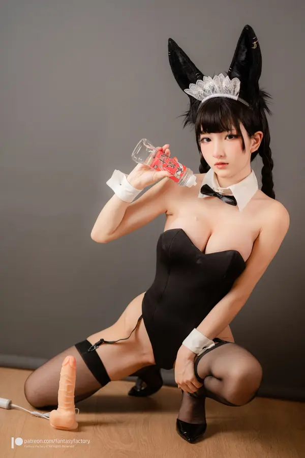 小丁Ding《Bunny girl Maid》